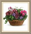 Hardwicks Floral & Gift Shop, 54 Public Sq, Andover, OH 44003, (440)_293-6808
